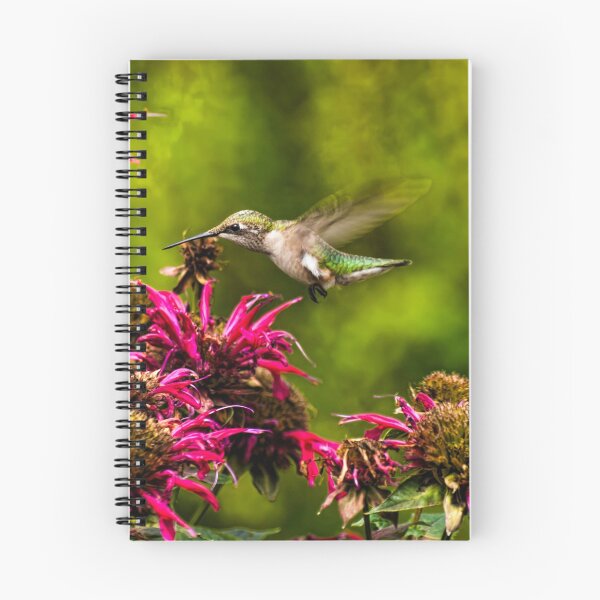 Item preview, Ruby Throated Hummingbird designed and sold by Thomasyoung.