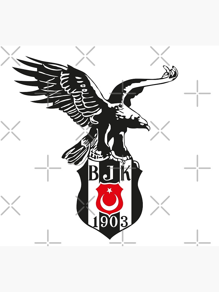 besiktas-istanbulspor_980_000035.JPG