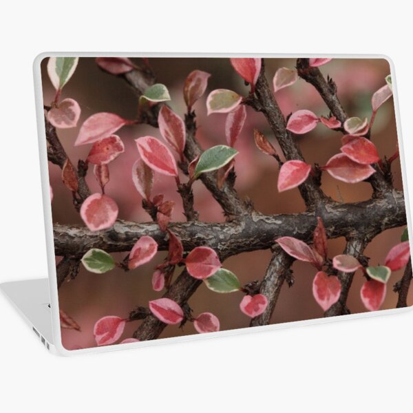 Item preview, MM 18 designed and sold by beeden.