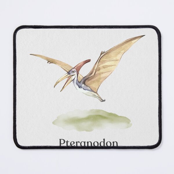 Item preview, Pteranodon designed and sold by galdesign.