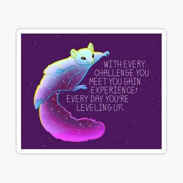 "Every Day You're Leveling Up" Flying Space Squirrel Sticker