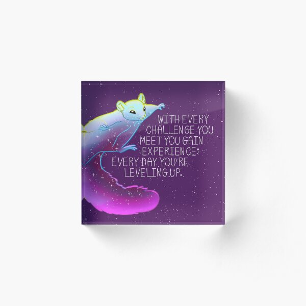 "Every Day You're Leveling Up" Flying Space Squirrel Acrylic Block