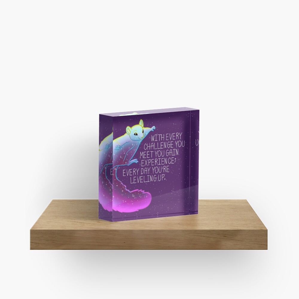 "Every Day You're Leveling Up" Flying Space Squirrel Acrylic Block