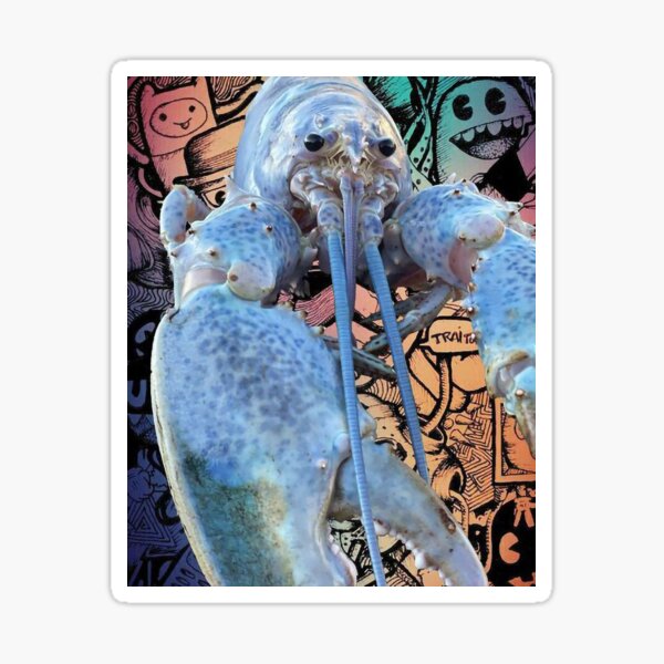 "Blue lobster jumpscare " Sticker for Sale by Srvinnce Redbubble