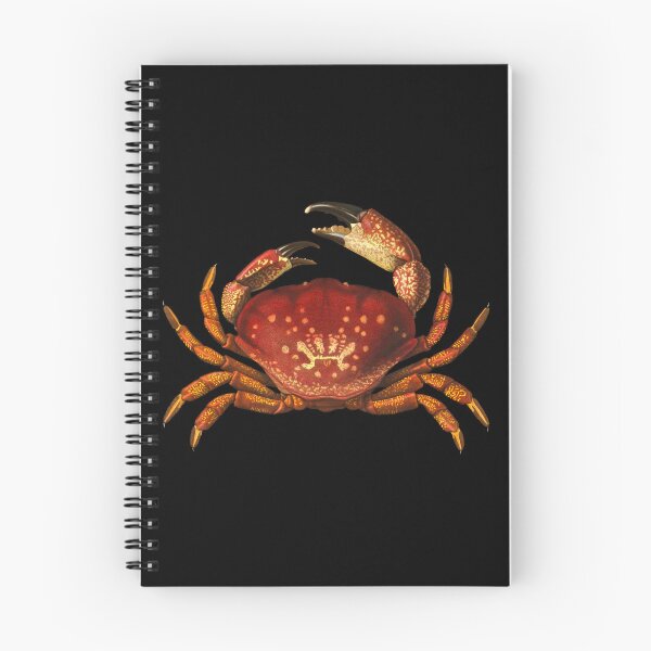 Aperçu de l'œuvre Crabe rouge créée et vendue par TikiLuke.