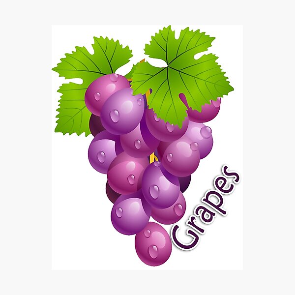 Item preview, Fruts designed and sold by nirocreative.