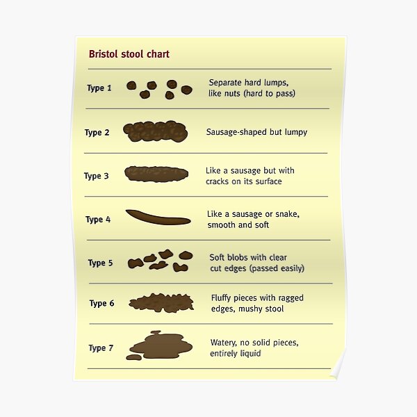 "Bristol Stool Chart" Poster for Sale by goldenanchor | Redbubble