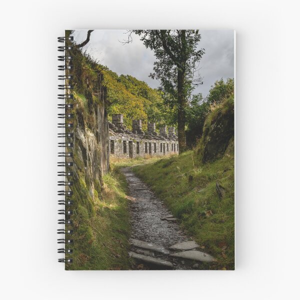 Item preview, Path to the Anglesey Barracks designed and sold by neonlightphoto.