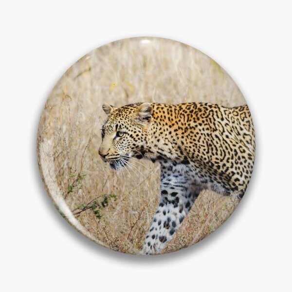 Item preview, Colorful Leopard walking in the South African savanna designed and sold by stedata.
