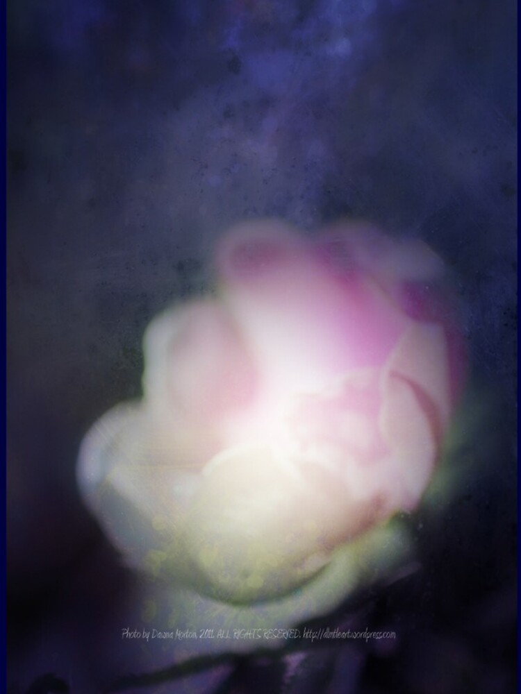 delicate pink old fashioned rose pattern 2 by DlmtleArt
