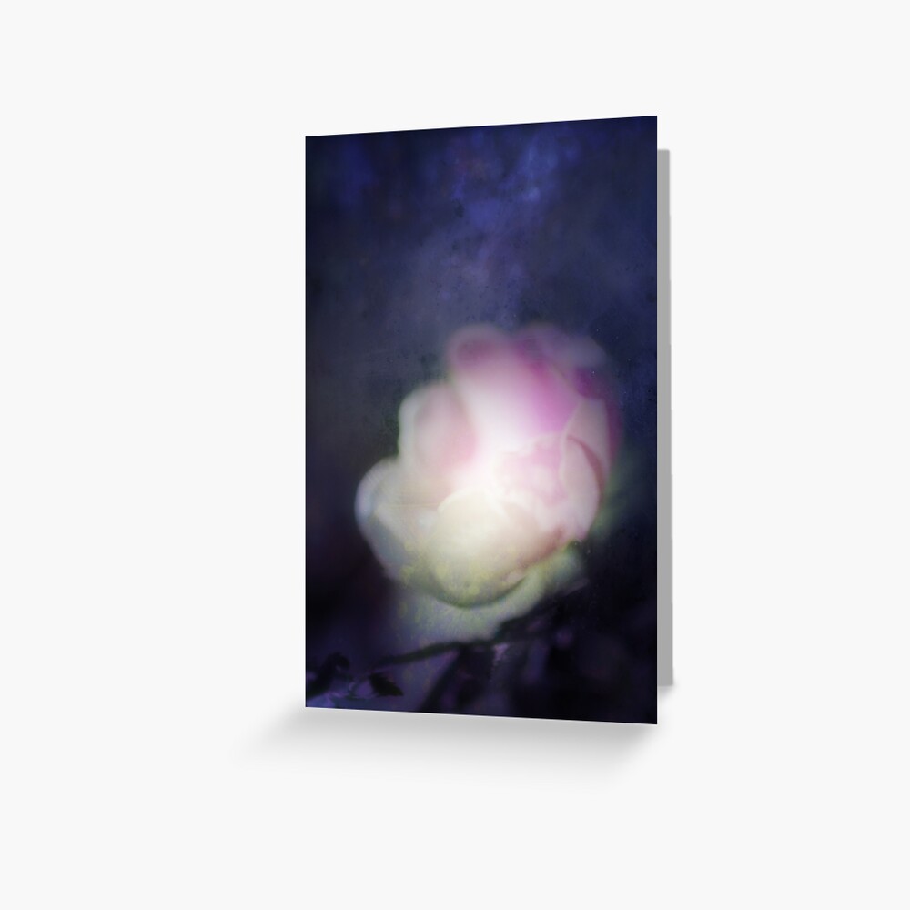 delicate pink old fashioned rose pattern 2 Greeting Card