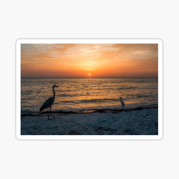 Egret and Great Blue Heron Beach Sunrise Sticker