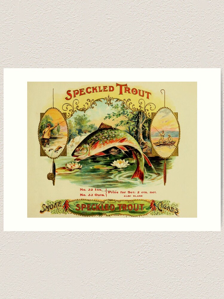 Cigar box label, vintage antique from 1905, speckled trout fly