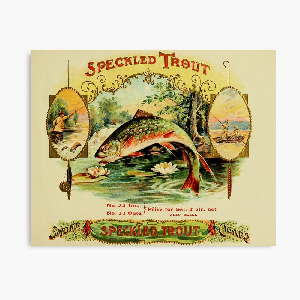 cigar box label vintage antique from 1905 speckled trout fly fishing canvas print by jillyannedowns redbubble