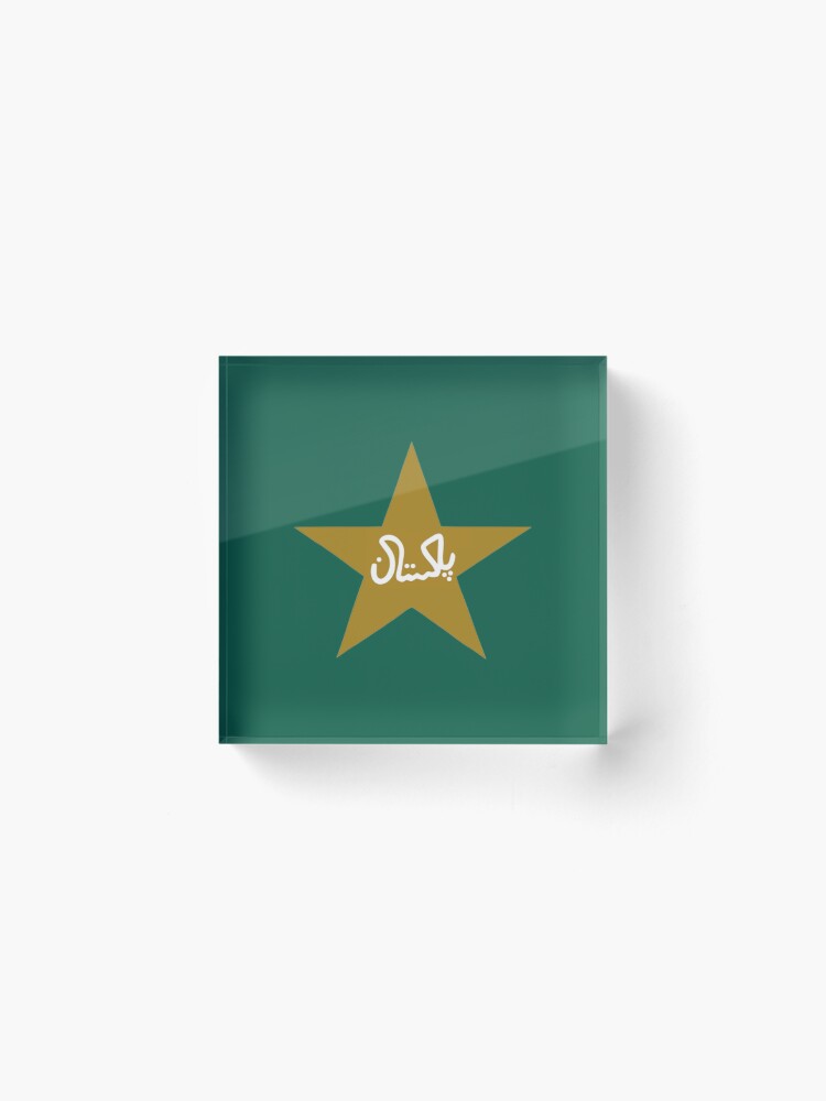 Pakistan Cricket team logo