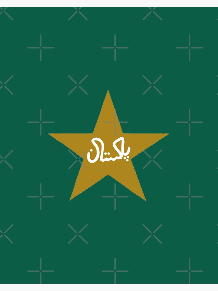 Pakistan Junior League Teams and their logos revealed. : r/Cricket