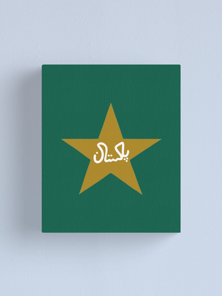 Pakistan Cricket Board, PCB Flag Icon in Squire Shape Isolated with Plain  and Bump Texture, 3D Rendering, Green Screen, Alpha Matte 27219682 Stock  Video at Vecteezy