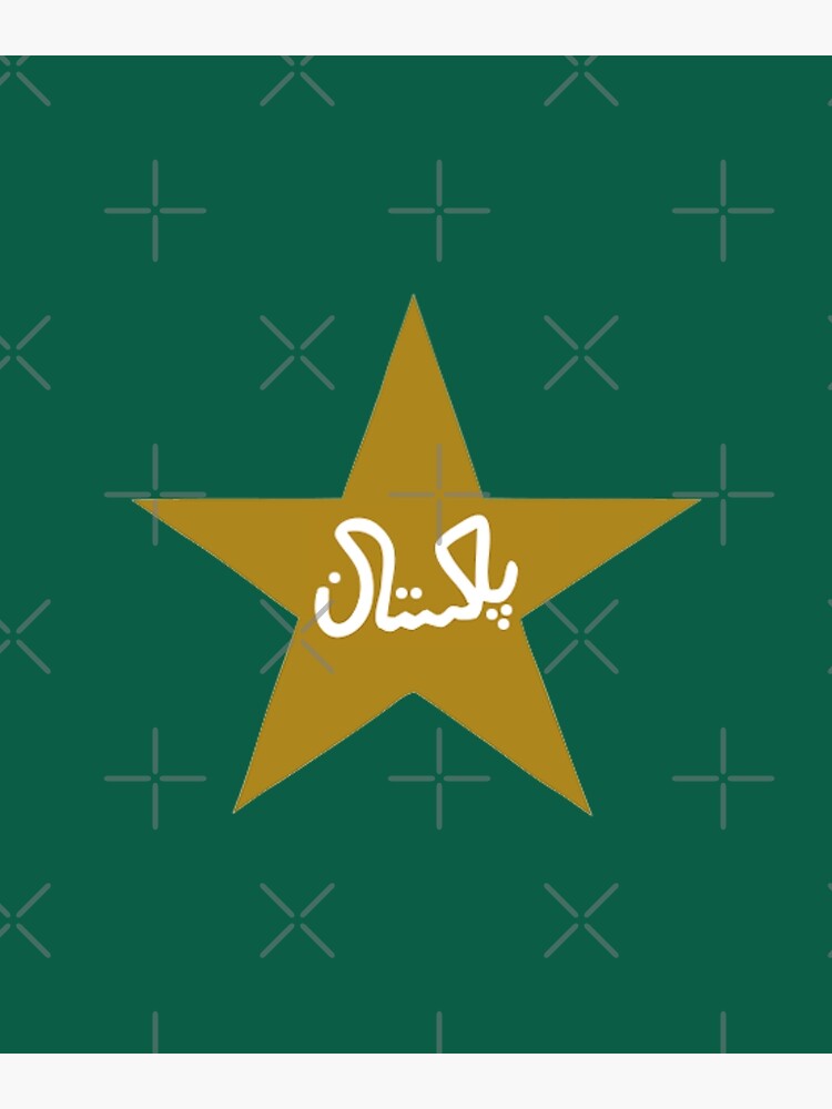 Pakistan Cricket Board Logo Embroidery Design - Emblanka