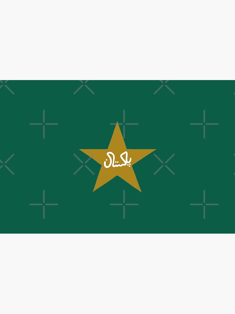 Pakistan Cricket Australia National Ashes Zimbabwe - Cricket Australia Logo  Transparent, HD Png Download , Transparent Png Image | PNG.ToolXoX.com