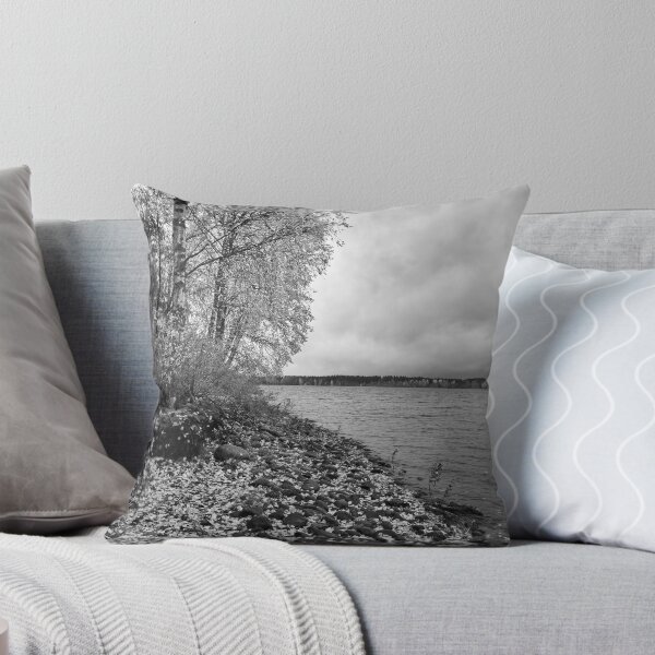 Item preview, Gray morning at Pyhaniemi bw designed and sold by Jouko Lehto Photography.