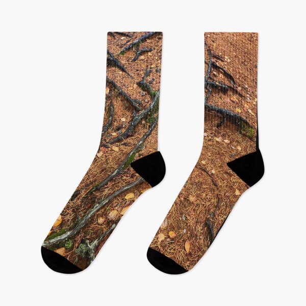 Item preview, Roots rising from sand designed and sold by Jouko Lehto Photography.