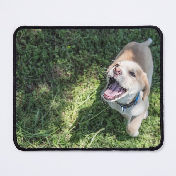 Item preview, Happiest Dog to Ever Dog designed and sold by PrettySickArt.