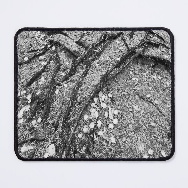 Item preview, Roots rising from sand bw designed and sold by Jouko Lehto Photography.