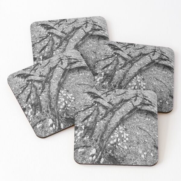 Item preview, Roots rising from sand bw designed and sold by Jouko Lehto Photography.