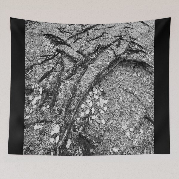 Item preview, Roots rising from sand bw designed and sold by Jouko Lehto Photography.