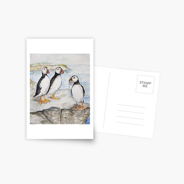 Atlantic puffin (Fratercula Arctica) Postcard