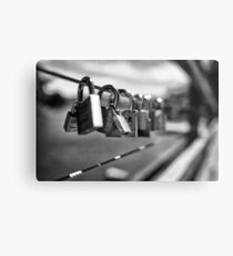 locks at lake Metal Print