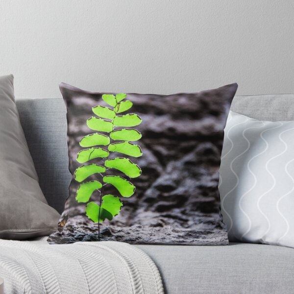 Item preview, Starting Out designed and sold by sharon2121.