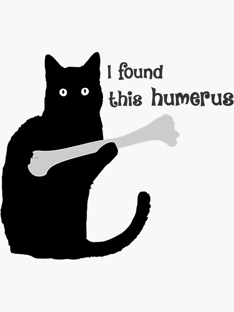 I found this humerus best sale shirt cat