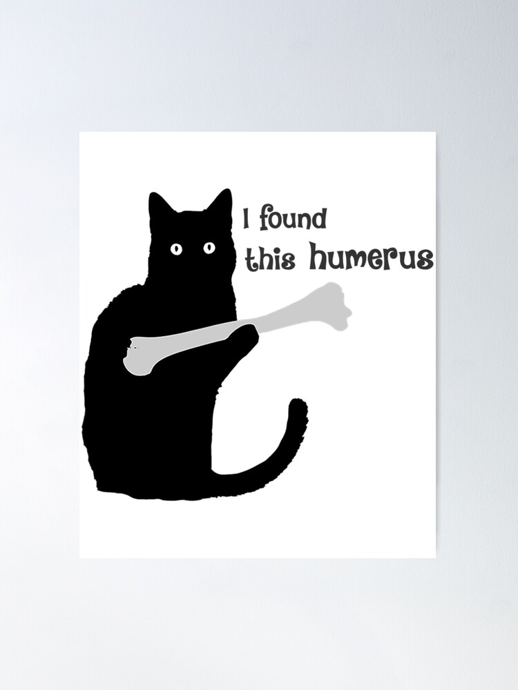 I found this humerus black cat Poster