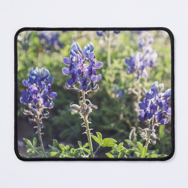 Item preview, BlueBonnets designed and sold by PrettySickArt.