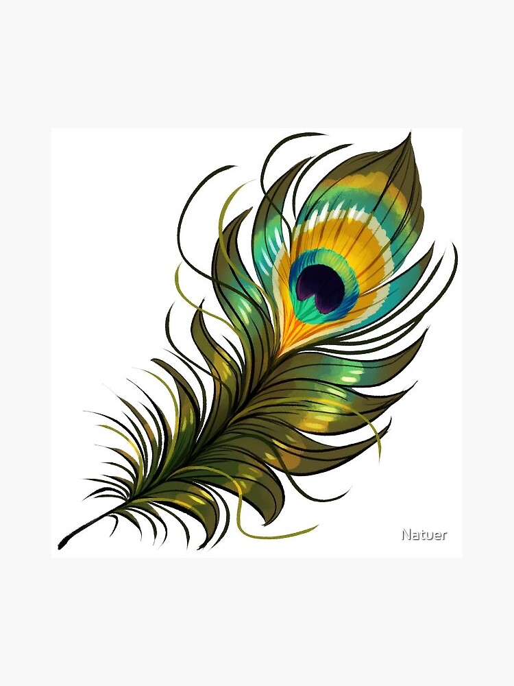 Peacock Peacock Feather Sticker For Sale By Natuer Redbubble 8263