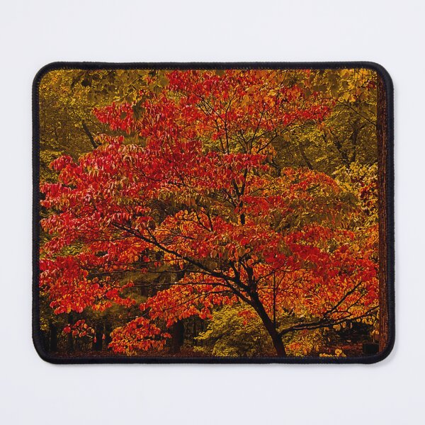 Item preview, Fall Tree designed and sold by Craig Kauzmann.