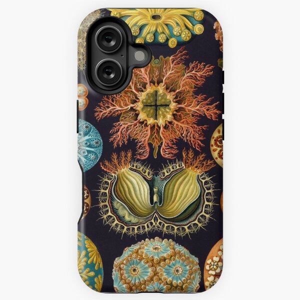 Item preview, Tunicates - Art Forms of Nature designed and sold by BeautflBiology.