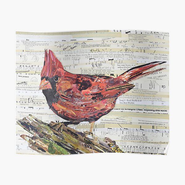 Cardinal Collage by C.E. White - Red Bird Poster