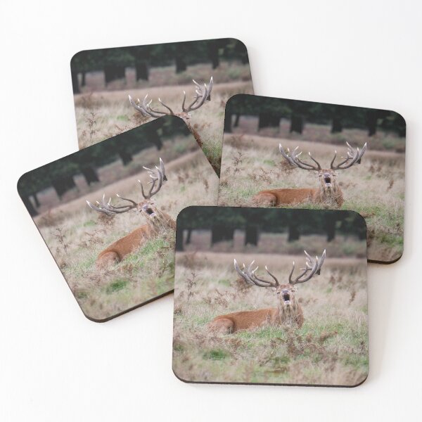 Item preview, Stag designed and sold by photobytableau.