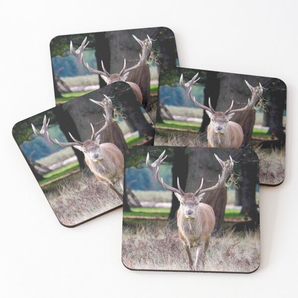 Item preview, Stag designed and sold by photobytableau.