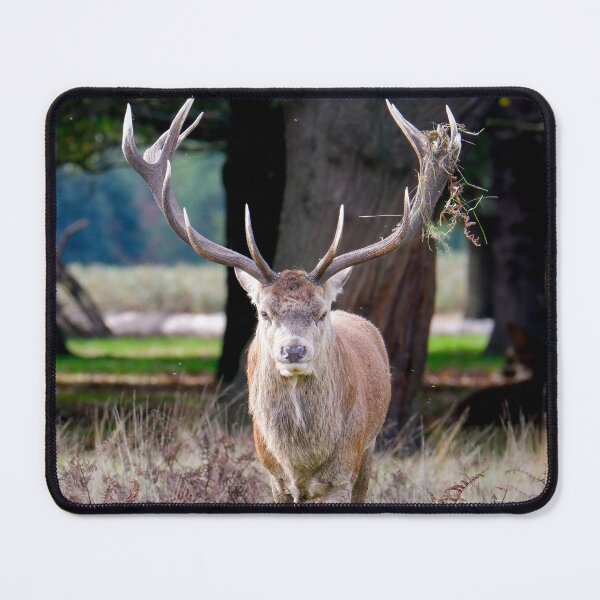 Item preview, Stag designed and sold by photobytableau.