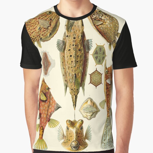 Item preview, Ostraciontes - Art Forms of Nature designed and sold by BeautflBiology.