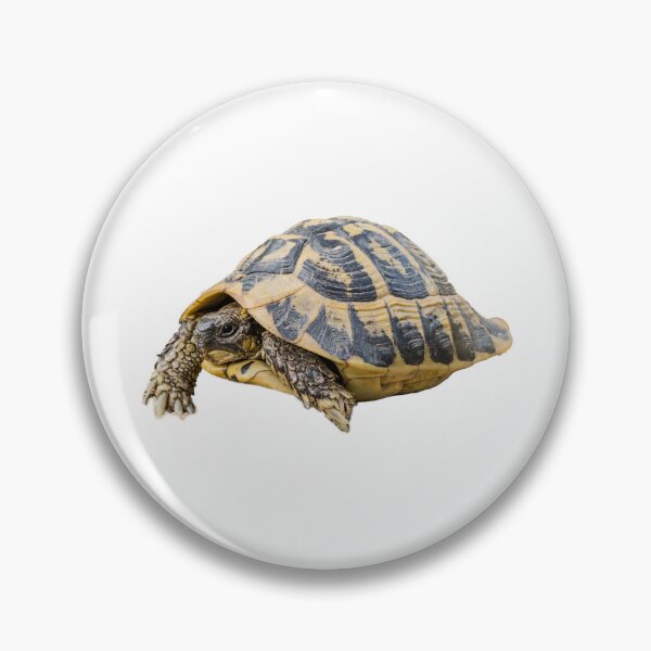 Item preview, Hermann's tortoise designed and sold by stedata.