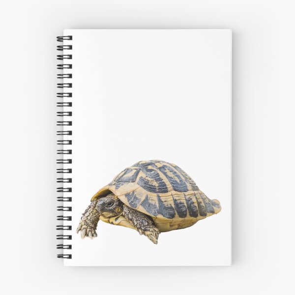 Item preview, Hermann's tortoise designed and sold by stedata.
