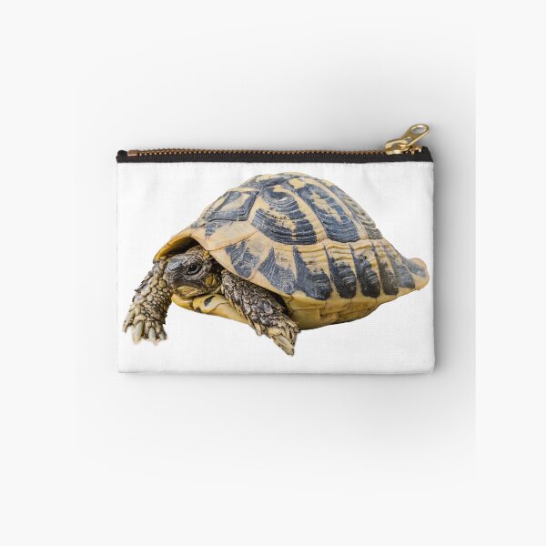 Item preview, Hermann's tortoise designed and sold by stedata.