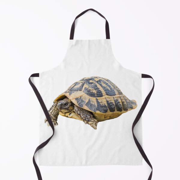 Item preview, Hermann's tortoise designed and sold by stedata.