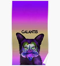 galantis Poster
