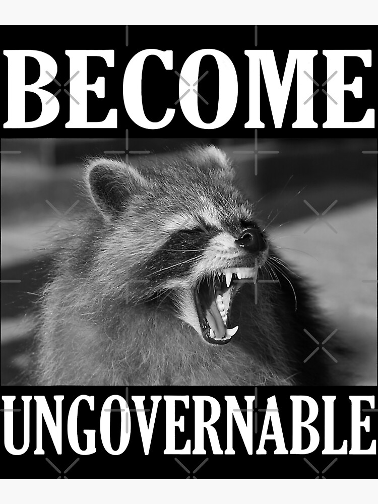 Become Ungovernable Funny Raccoon Face Meme Poster For Sale By