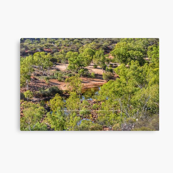 Item preview, Kalbarri designed and sold by garts.